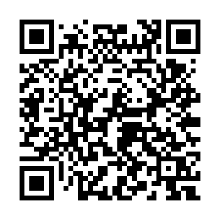 QR code for 295VWS