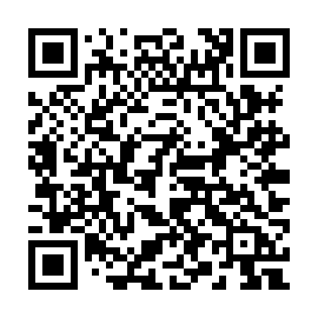 QR code for 295XJB