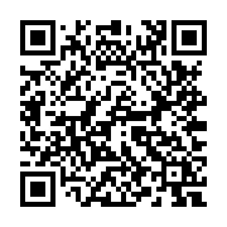 QR code for 295XZX
