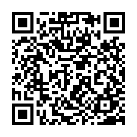 QR code for 296LYT