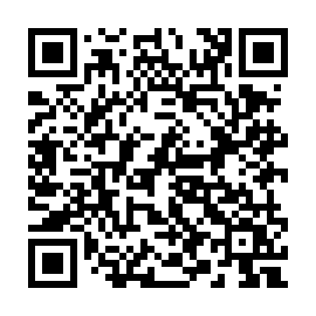 QR code for 299DMV