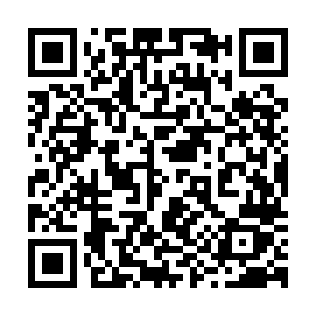 QR code for 299QLZ