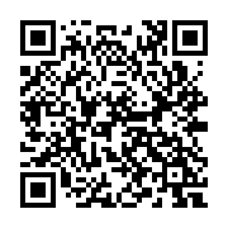 QR code for 299STM