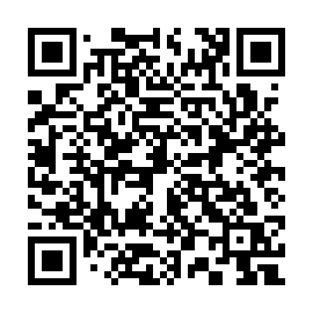 QR code for 300ASS