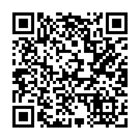QR code for 309IRL