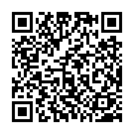 QR code for 310WSP