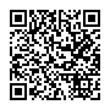 QR code for 311IBG