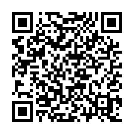 QR code for 311QAI