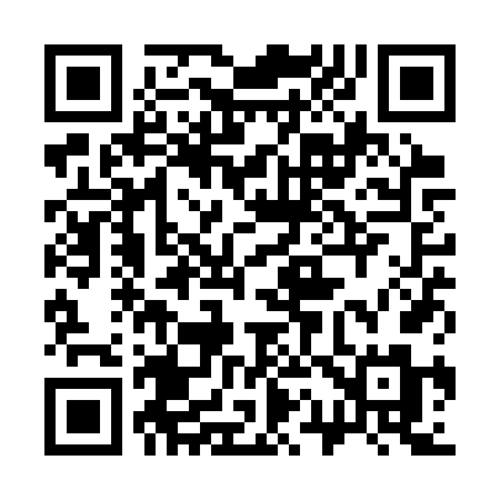 QR code for 311SVM