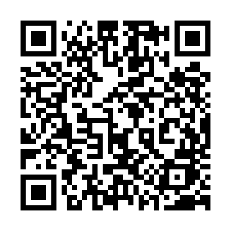 QR code for 311UNJ