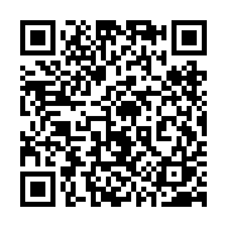 QR code for 313BAS