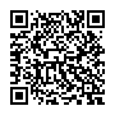 QR code for 313BTI