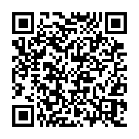 QR code for 313CER