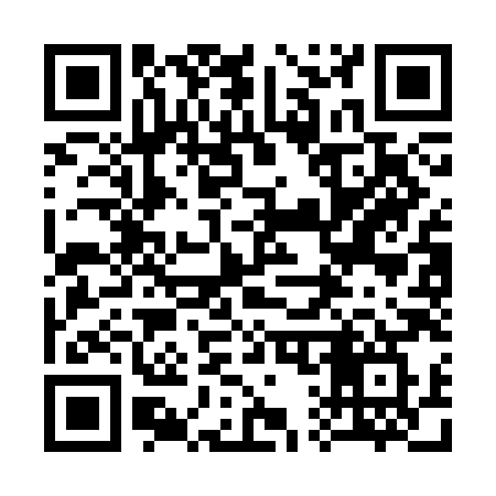 QR code for 313CHW