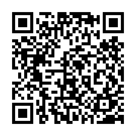 QR code for 313DAT