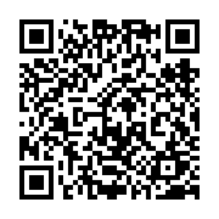 QR code for 313FKT