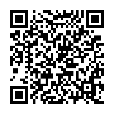 QR code for 313GIN