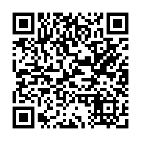 QR code for 313LXI