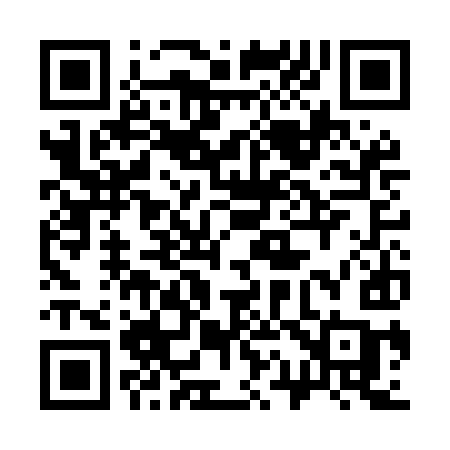 QR code for 313MIC