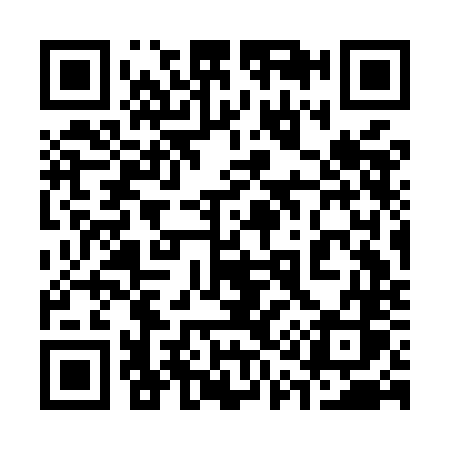 QR code for 313MNS