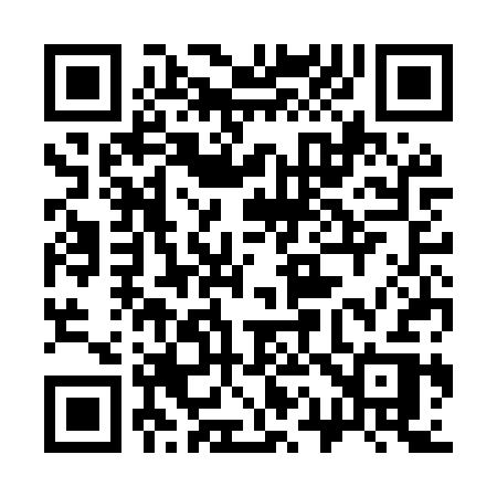 QR code for 313MSR