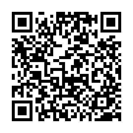 QR code for 313OMW