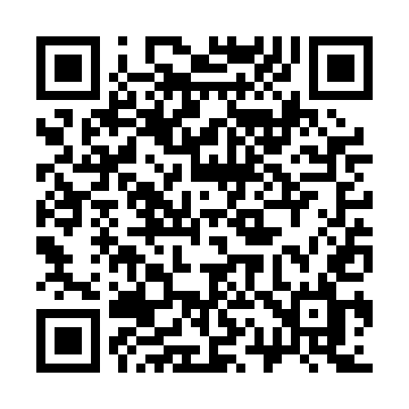 QR code for 313PEL