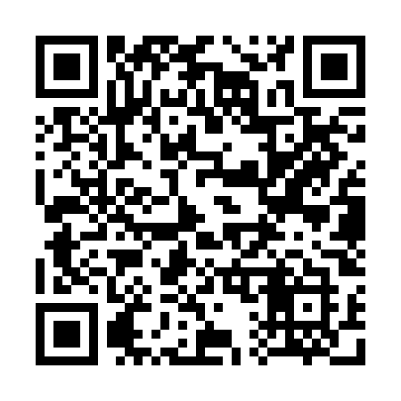 QR code for 313ROK