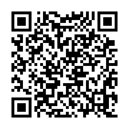 QR code for 313SLO