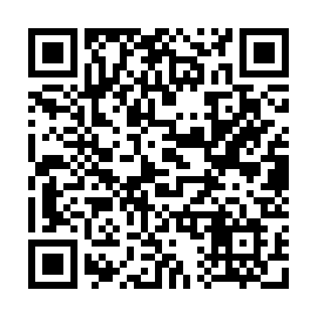 QR code for 313SRL