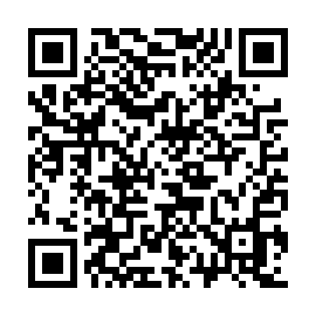 QR code for 313TQO