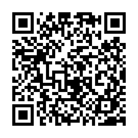 QR code for 313TUL