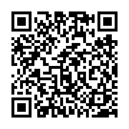 QR code for 313VSS