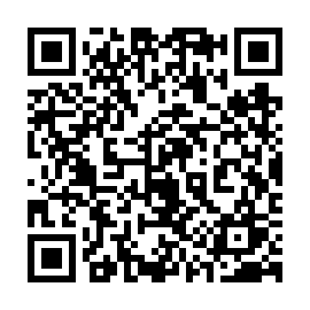 QR code for 313VSW