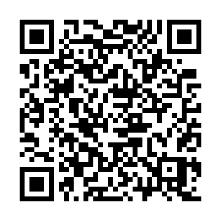 QR code for 313WTS