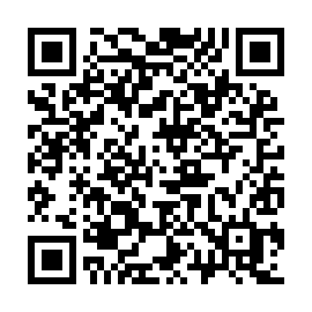 QR code for 313YID