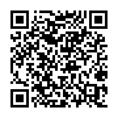 QR code for 317IMA