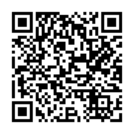 QR code for 318INS