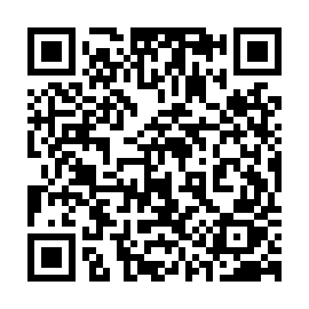 QR code for 319LUZ