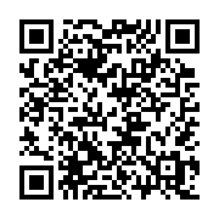 QR code for 319STM