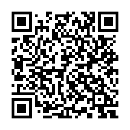 QR code for 333ORE