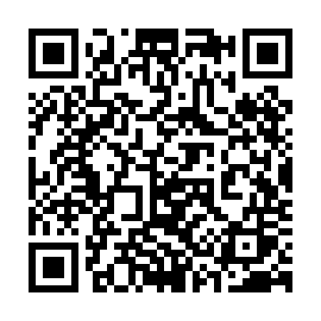 QR code for 333POS