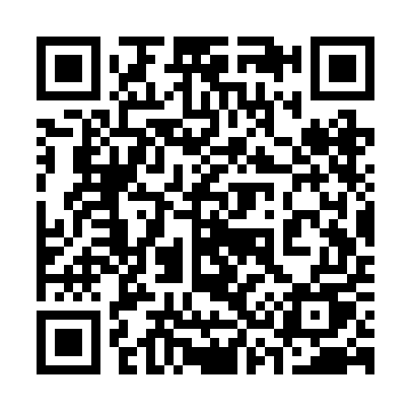 QR code for 333REU