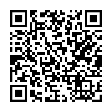 QR code for 333SRS
