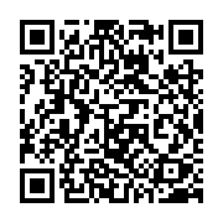 QR code for 333SSX