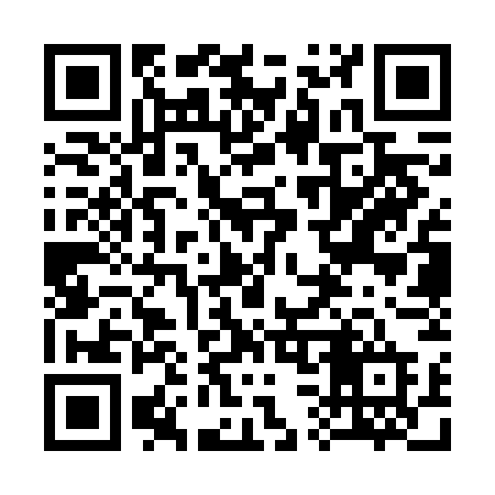 QR code for 333VGD