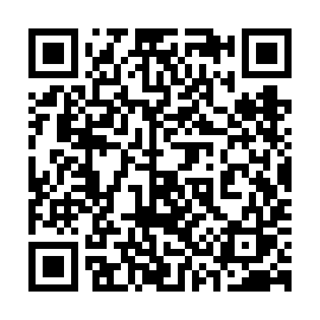QR code for 333VIS