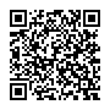 QR code for 333XIU