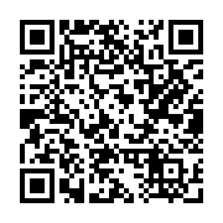 QR code for 333YCS