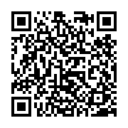 QR code for 335DJS